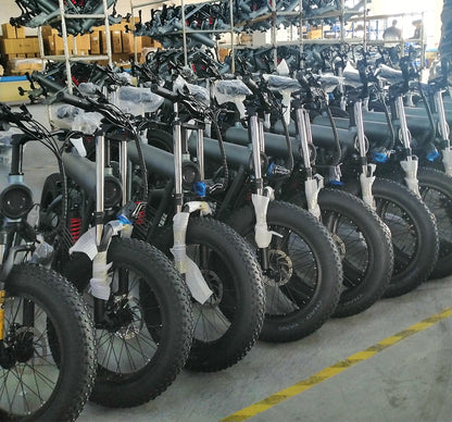 Customize 30AH High Power Bike High Quality 20Inch Fat Tire Electric Bike 2000W Hydraulic Disc Brake Eu of Chinese Manufacturer