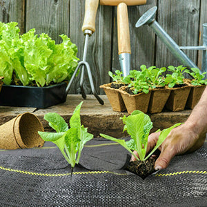 4*100FT 90g Black Agricultural  Weed Mat Ground Cover for Greenhouse Garden Farming Weed Barrier Fabric for Agriculture