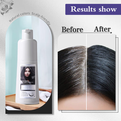 Hot Selling Natural Organic Fast Change Black Hair Dye Color Change Shampoo Hair Dye Shampoo Hair Dye