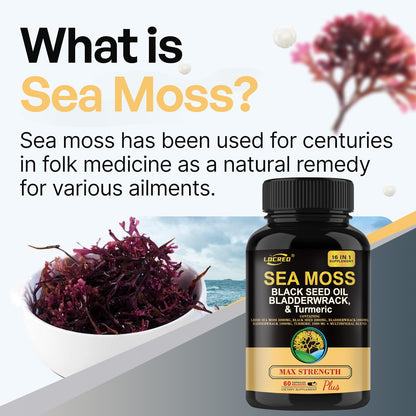 Sea Moss with Black Seed Oil  Bladder Wrack  Turmeric 16-in-1 Supplements Joint Support  Sea Moss Capsule for Man and Women