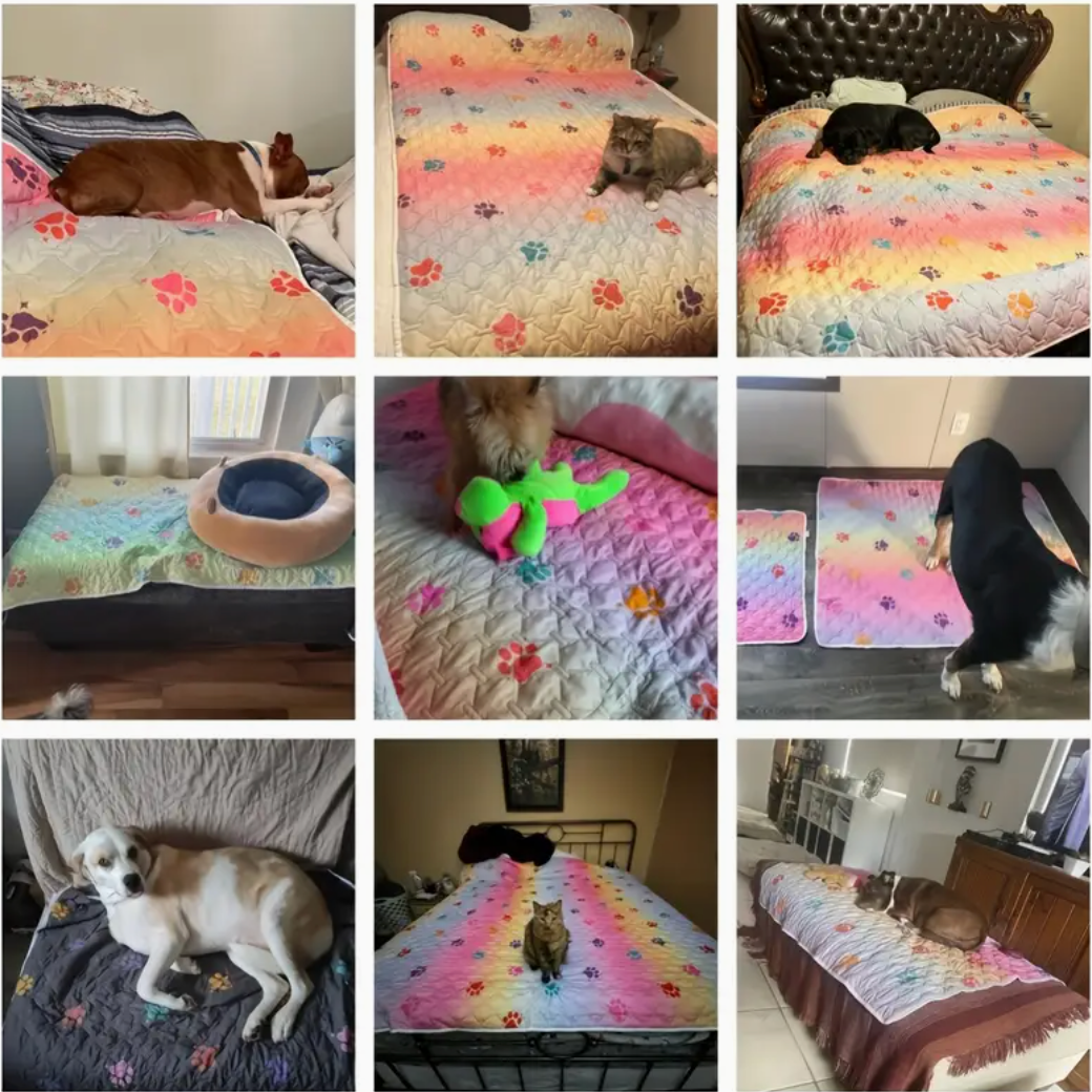 100% Waterproof Rainbow Reversible Dog Bed Cover Reusable Embroidery Blanket Animal Pet/Dog/Cat Washable Changing Mat Camping