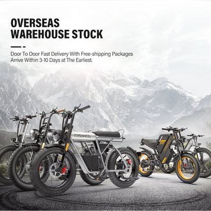 COSWHEEL CT20 EU Warehouse 1000W 1500W Wholesale Price Electric Bike Fat Tire E Bicycle Factory Direct Sale Vintage Ebike E Bike