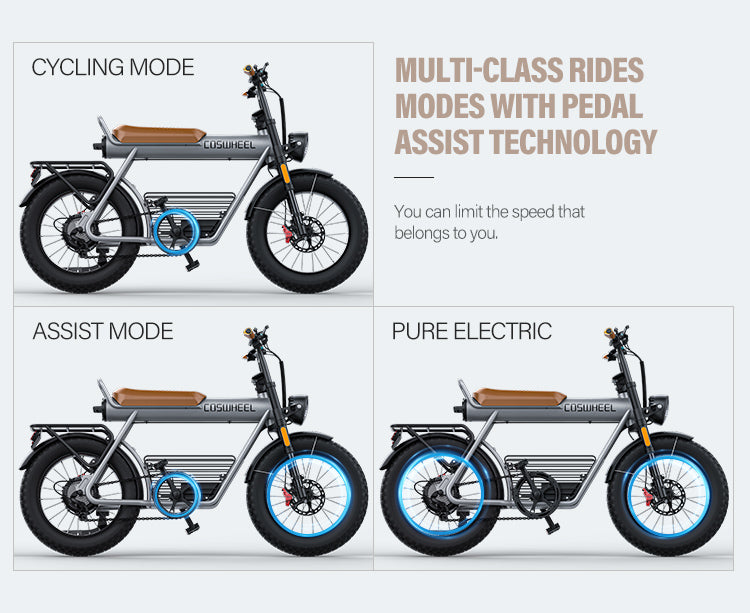 CT20 Eu Uk Us Warehouse Snow Vehicle 750W 1000W 1500w Powerful Rear Hub Motor E-Bike 20" Tire Electric Bicycle City Ebike