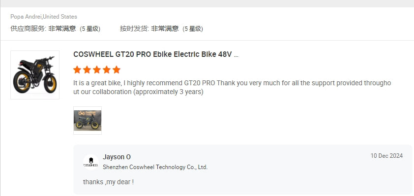 EU Warehouse New Design High Quality E Bike China Manufacturer Customized 36V/48V 250W/350W/500W/750W Electric Mountain Bicycle