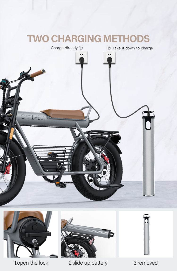 Best Selling 48V 1000W 1500W 45-50Km/H Fast Speed COSWHEEL CT20 Brown Handle Wholesale Customized 30Ah Battery Electric Bike