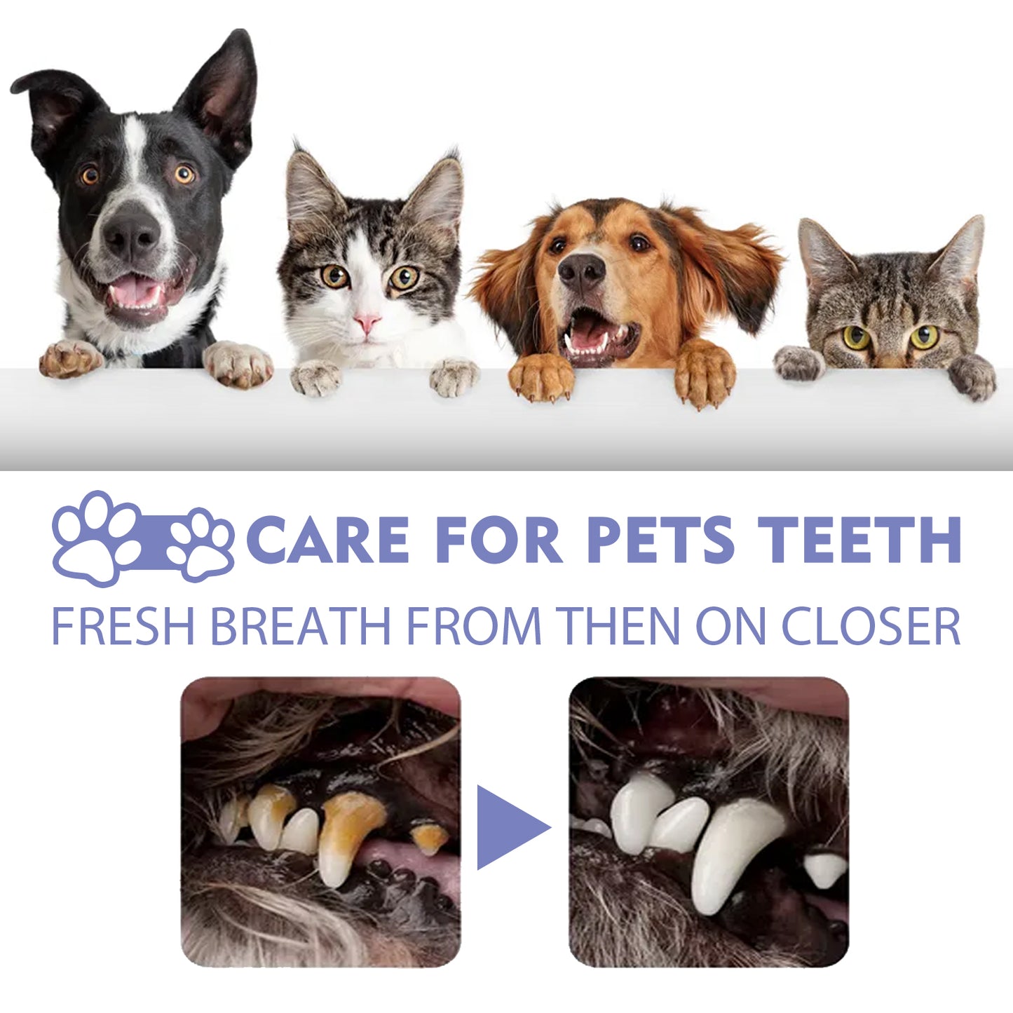 Yegbong Cat and Dog Teeth Cleaning Spray Stain Removal Fresh Breath Pet Oral Care Spray