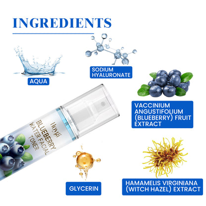 HOYGI Blueberry Facial Care Facial Skin Deep Cleansing Anti Wrinkle Skin Care Essence Skin Beautifying Brightening Face Cream