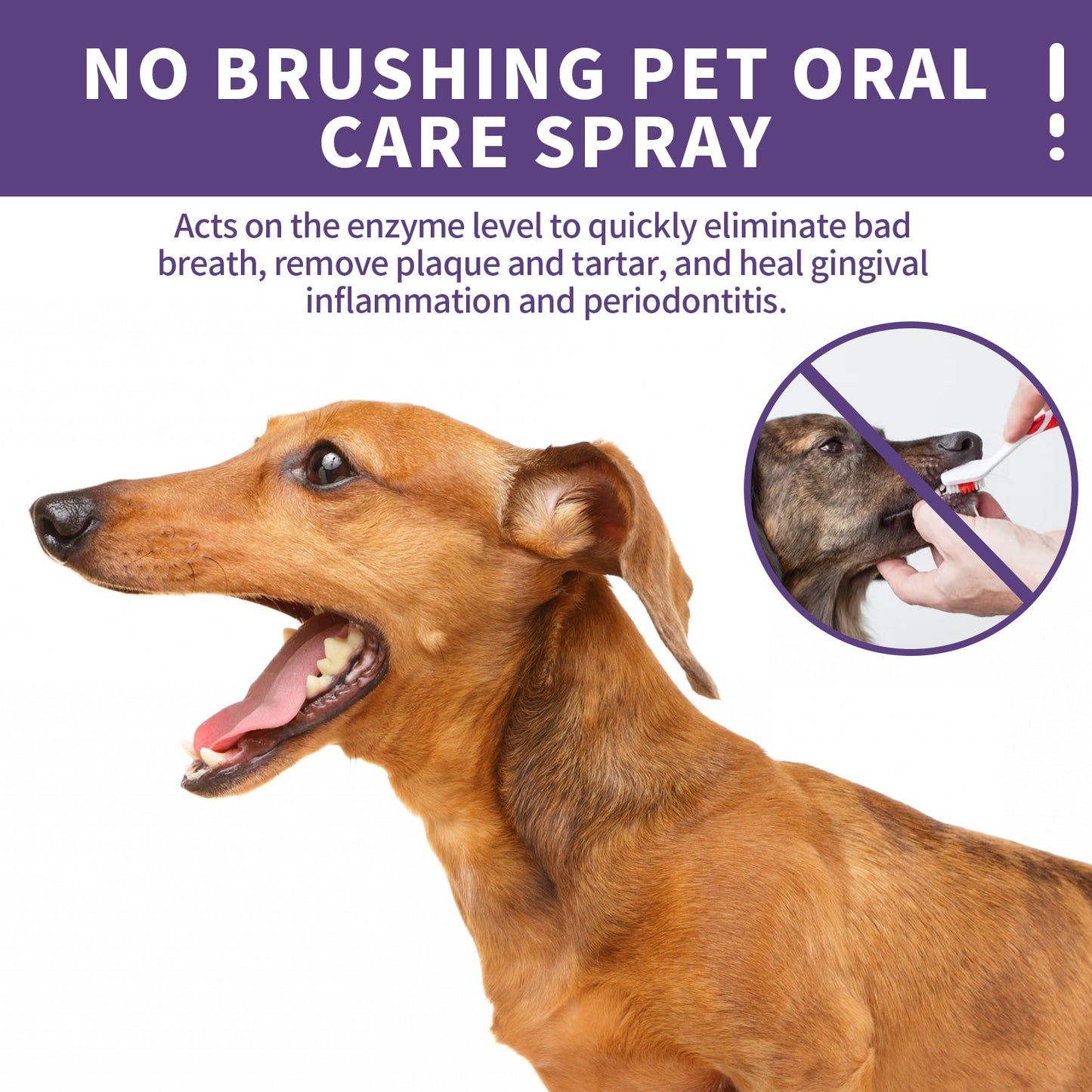 Yegbong Dog and Cat Teeth Cleaning Spray Pet Oral Fresh Breath Deodorizing Cleaning Spray