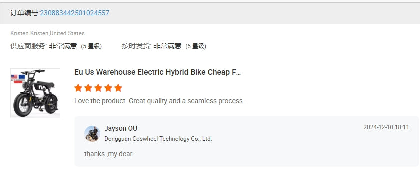 COSWHEEL Y16 Fat Tire Electric Bike 16inch Ebike Price 750W 1000W 15Ah Electric Hybrid Bike Customize 250W Motor Electric Bike