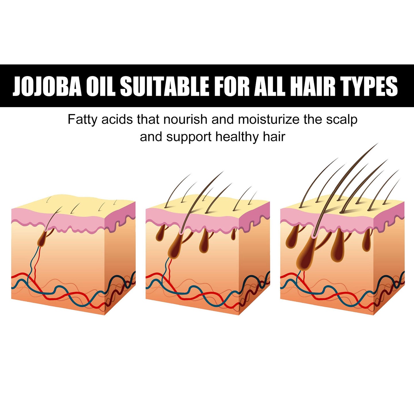 West&Month Jojoba Oil Hair Treatment Gentle Moisturizing Scalp Care for Dry and Frizzy Hair Smoothing Hair Oil