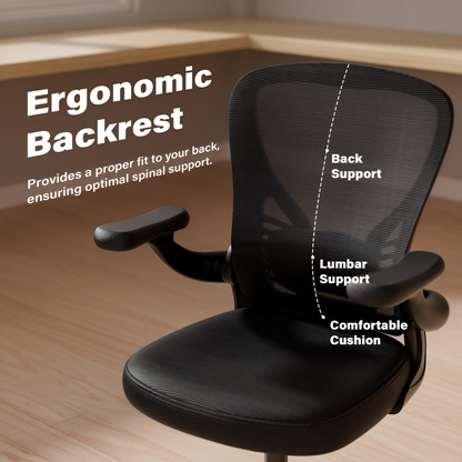 Modern Ergonomic Office Desk Chair with Mesh Back Adjustable Lumbar Support Computer Desk Chair Made of Plastic Metal Steel