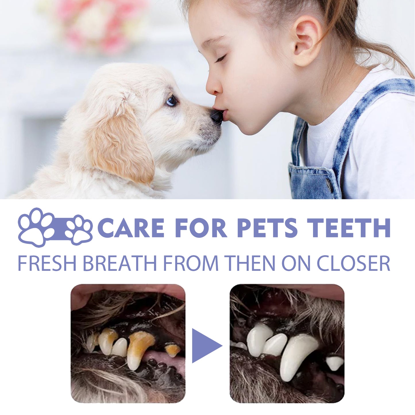 Yegbong Dog and Cat Teeth Cleaning Spray Pet Oral Fresh Breath Deodorizing Cleaning Spray