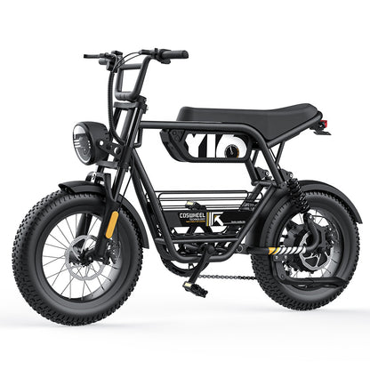 COSWHEEL Y16 Fat Tire Electric Bike 16inch Ebike Price 750W 1000W 15Ah Electric Hybrid Bike Customize 250W Motor Electric Bike