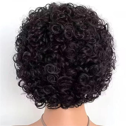 Burgundy Pixie Cut Curly Kinky 6 Inches Stretched Length 13X1 Lace Glueless Short Long Raw Human Hair Frontal Wig Wholesale